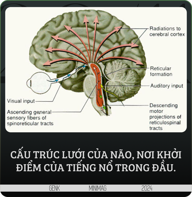 Giấc mơ mặc khải của Descartes hay "Hội chứng đầu nổ tung": Thứ đ&atilde; mở ra to&agrave;n bộ h&igrave;nh học giải t&iacute;ch kh&ocirc;ng gian v&agrave; nền triết học cho nh&acirc;n loại- Ảnh 13.
