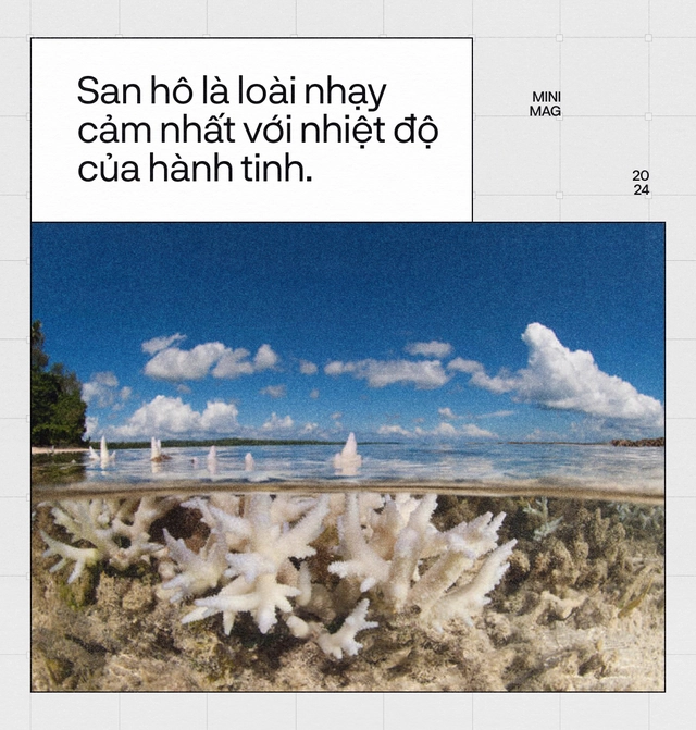 Tr&aacute;i Đất đ&atilde; &ldquo;hạ sốt&rdquo;, sau 13 th&aacute;ng n&oacute;ng nhất lịch sử: Một cuộc tập dượt cho kịch bản hậu tận thế- Ảnh 13.