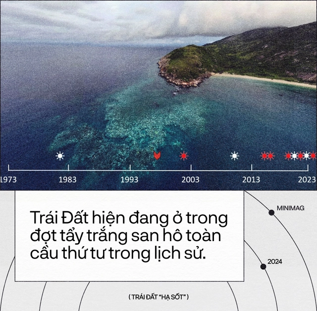Tr&aacute;i Đất đ&atilde; &ldquo;hạ sốt&rdquo;, sau 13 th&aacute;ng n&oacute;ng nhất lịch sử: Một cuộc tập dượt cho kịch bản hậu tận thế- Ảnh 15.
