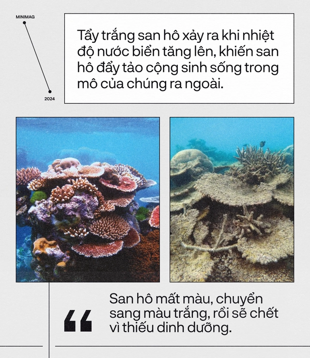 Tr&aacute;i Đất đ&atilde; &ldquo;hạ sốt&rdquo;, sau 13 th&aacute;ng n&oacute;ng nhất lịch sử: Một cuộc tập dượt cho kịch bản hậu tận thế- Ảnh 16.
