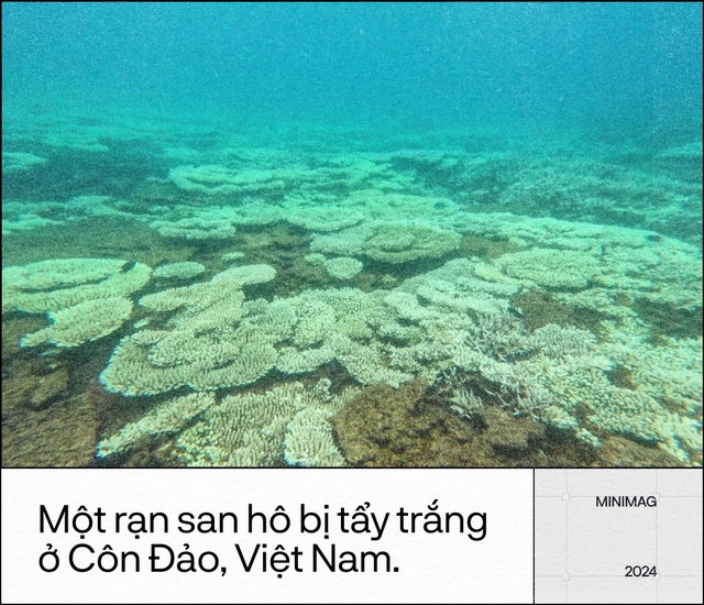 Tr&aacute;i Đất đ&atilde; &ldquo;hạ sốt&rdquo;, sau 13 th&aacute;ng n&oacute;ng nhất lịch sử: Một cuộc tập dượt cho kịch bản hậu tận thế- Ảnh 17.