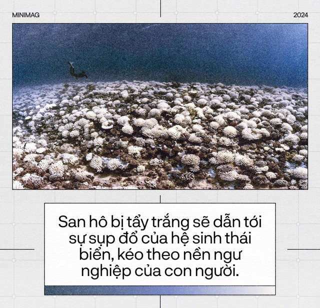 Tr&aacute;i Đất đ&atilde; &ldquo;hạ sốt&rdquo;, sau 13 th&aacute;ng n&oacute;ng nhất lịch sử: Một cuộc tập dượt cho kịch bản hậu tận thế- Ảnh 19.