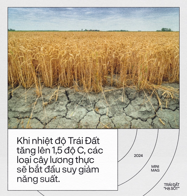 Tr&aacute;i Đất đ&atilde; &ldquo;hạ sốt&rdquo;, sau 13 th&aacute;ng n&oacute;ng nhất lịch sử: Một cuộc tập dượt cho kịch bản hậu tận thế- Ảnh 21.