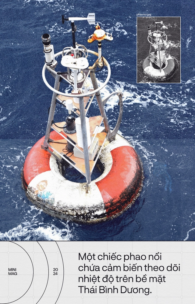 Tr&aacute;i Đất đ&atilde; &ldquo;hạ sốt&rdquo;, sau 13 th&aacute;ng n&oacute;ng nhất lịch sử: Một cuộc tập dượt cho kịch bản hậu tận thế- Ảnh 7.