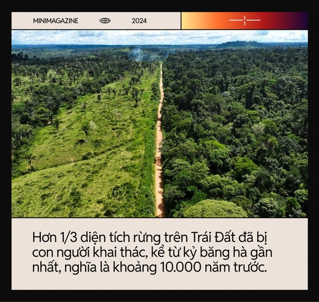 Hết si&ecirc;u nắng n&oacute;ng lại đến cuồng phong b&atilde;o lũ: Ch&uacute;ng ta đang ở trong 