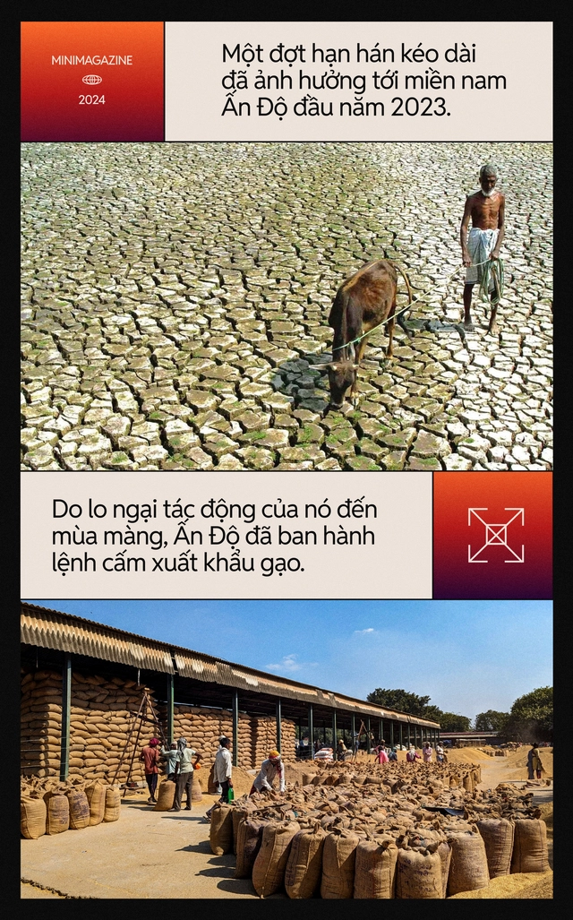 Hết si&ecirc;u nắng n&oacute;ng lại đến cuồng phong b&atilde;o lũ: Ch&uacute;ng ta đang ở trong 