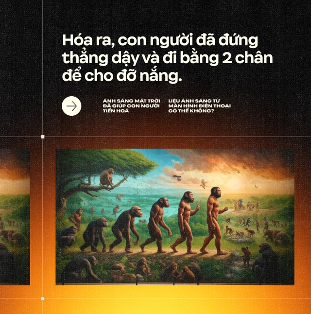 &Aacute;nh s&aacute;ng Mặt Trời đ&atilde; gi&uacute;p con người tiến ho&aacute;, liệu &aacute;nh s&aacute;ng từ m&agrave;n h&igrave;nh điện thoại c&oacute; thể kh&ocirc;ng? (Kỳ 2)- Ảnh 1.