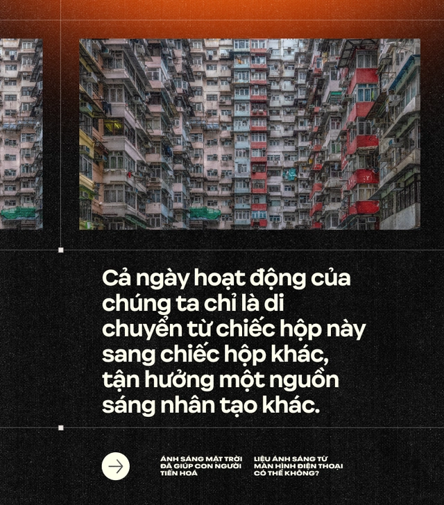 &Aacute;nh s&aacute;ng Mặt Trời đ&atilde; gi&uacute;p con người tiến ho&aacute;, liệu &aacute;nh s&aacute;ng từ m&agrave;n h&igrave;nh điện thoại c&oacute; thể kh&ocirc;ng? (Kỳ 2)- Ảnh 15.