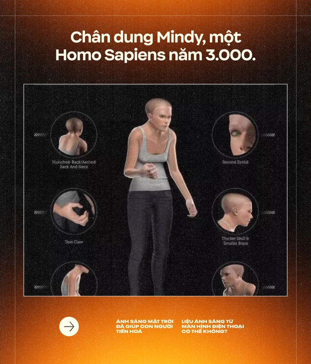 &Aacute;nh s&aacute;ng Mặt Trời đ&atilde; gi&uacute;p con người tiến ho&aacute;, liệu &aacute;nh s&aacute;ng từ m&agrave;n h&igrave;nh điện thoại c&oacute; thể kh&ocirc;ng? (Kỳ 2)- Ảnh 23.