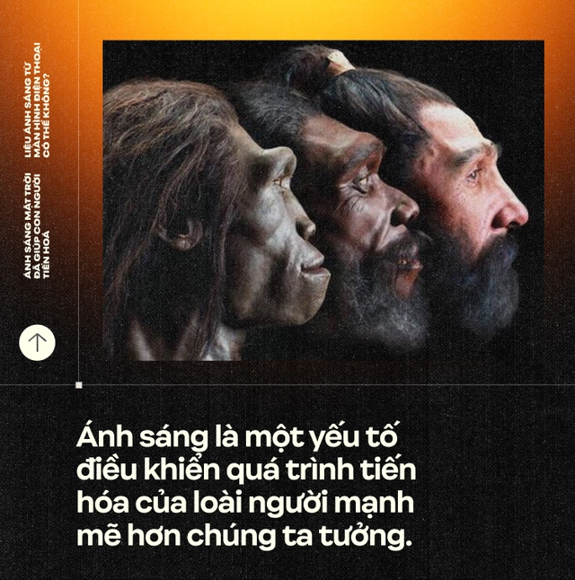 &Aacute;nh s&aacute;ng Mặt Trời đ&atilde; gi&uacute;p con người tiến ho&aacute;, liệu &aacute;nh s&aacute;ng từ m&agrave;n h&igrave;nh điện thoại c&oacute; thể kh&ocirc;ng? (Kỳ 2)- Ảnh 3.