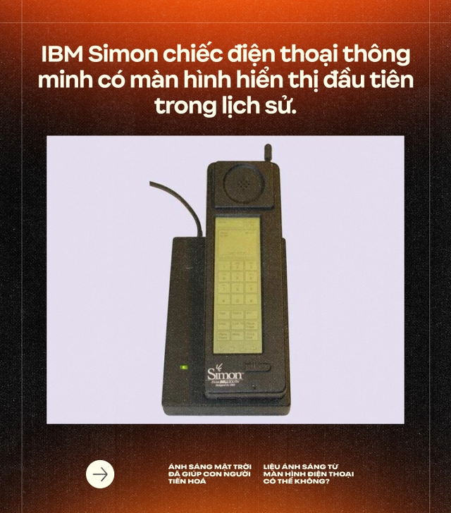 &Aacute;nh s&aacute;ng Mặt Trời đ&atilde; gi&uacute;p con người tiến ho&aacute;, liệu &aacute;nh s&aacute;ng từ m&agrave;n h&igrave;nh điện thoại c&oacute; thể kh&ocirc;ng? (Kỳ 2)- Ảnh 7.