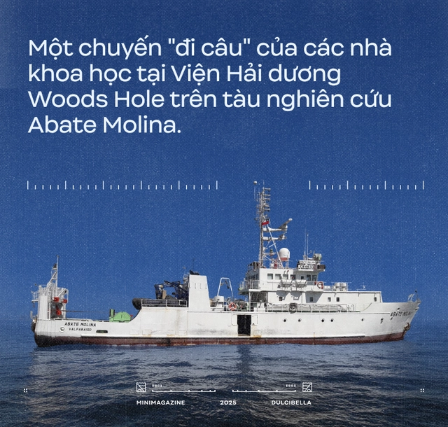 C&aacute;c nh&agrave; khoa học d&ugrave;ng cần cẩu thả thịt g&agrave; xuống đ&aacute;y biển s&acirc;u 8.000 m&eacute;t: Họ định c&acirc;u g&igrave; ở R&atilde;nh Atacama, một trong những "địa ngục của đại dương"?- Ảnh 1.