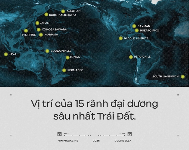 C&aacute;c nh&agrave; khoa học d&ugrave;ng cần cẩu thả thịt g&agrave; xuống đ&aacute;y biển s&acirc;u 8.000 m&eacute;t: Họ định c&acirc;u g&igrave; ở R&atilde;nh Atacama, một trong những "địa ngục của đại dương"?- Ảnh 16.