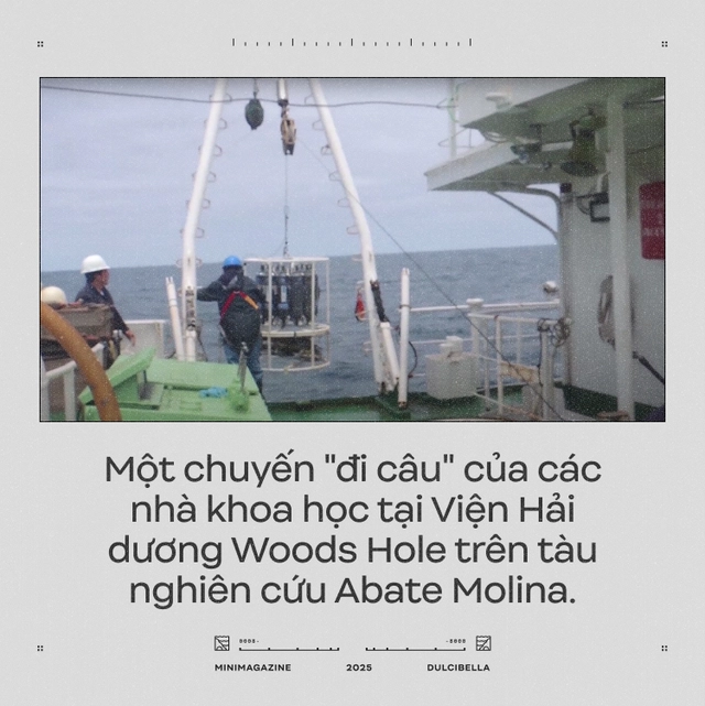 C&aacute;c nh&agrave; khoa học d&ugrave;ng cần cẩu thả thịt g&agrave; xuống đ&aacute;y biển s&acirc;u 8.000 m&eacute;t: Họ định c&acirc;u g&igrave; ở R&atilde;nh Atacama, một trong những "địa ngục của đại dương"?- Ảnh 2.