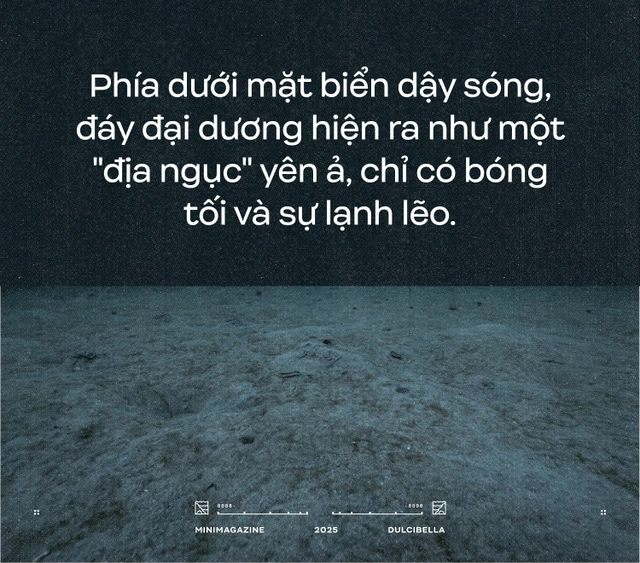 C&aacute;c nh&agrave; khoa học d&ugrave;ng cần cẩu thả thịt g&agrave; xuống đ&aacute;y biển s&acirc;u 8.000 m&eacute;t: Họ định c&acirc;u g&igrave; ở R&atilde;nh Atacama, một trong những "địa ngục của đại dương"?- Ảnh 11.