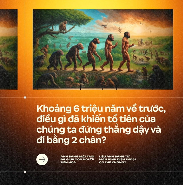 &Aacute;nh s&aacute;ng Mặt Trời đ&atilde; gi&uacute;p con người tiến ho&aacute;, liệu &aacute;nh s&aacute;ng từ m&agrave;n h&igrave;nh điện thoại c&oacute; thể kh&ocirc;ng?- Ảnh 1.