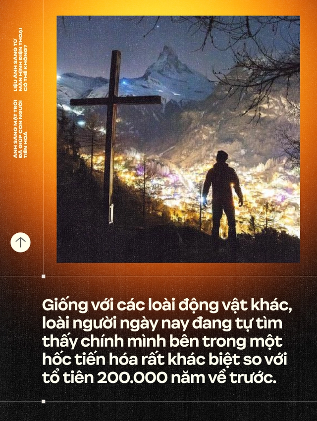 &Aacute;nh s&aacute;ng Mặt Trời đ&atilde; gi&uacute;p con người tiến ho&aacute;, liệu &aacute;nh s&aacute;ng từ m&agrave;n h&igrave;nh điện thoại c&oacute; thể kh&ocirc;ng?- Ảnh 22.