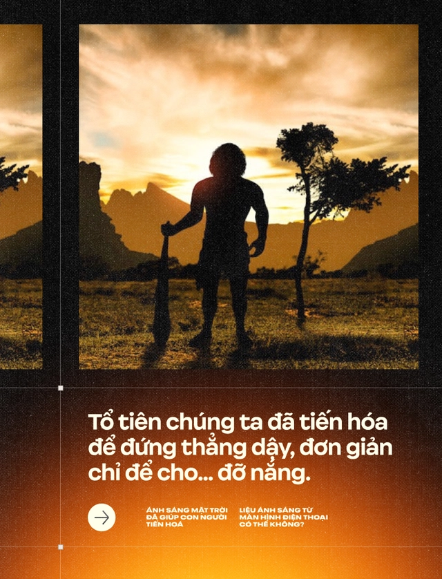 &Aacute;nh s&aacute;ng Mặt Trời đ&atilde; gi&uacute;p con người tiến ho&aacute;, liệu &aacute;nh s&aacute;ng từ m&agrave;n h&igrave;nh điện thoại c&oacute; thể kh&ocirc;ng?- Ảnh 2.