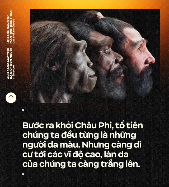 &Aacute;nh s&aacute;ng Mặt Trời đ&atilde; gi&uacute;p con người tiến ho&aacute;, liệu &aacute;nh s&aacute;ng từ m&agrave;n h&igrave;nh điện thoại c&oacute; thể kh&ocirc;ng?- Ảnh 4.