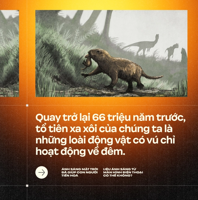 &Aacute;nh s&aacute;ng Mặt Trời đ&atilde; gi&uacute;p con người tiến ho&aacute;, liệu &aacute;nh s&aacute;ng từ m&agrave;n h&igrave;nh điện thoại c&oacute; thể kh&ocirc;ng?- Ảnh 6.