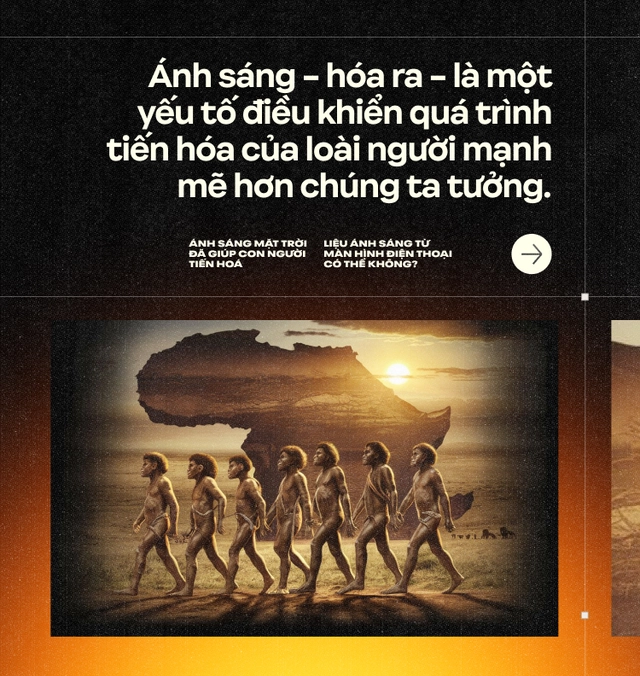 &Aacute;nh s&aacute;ng Mặt Trời đ&atilde; gi&uacute;p con người tiến ho&aacute;, liệu &aacute;nh s&aacute;ng từ m&agrave;n h&igrave;nh điện thoại c&oacute; thể kh&ocirc;ng?- Ảnh 7.