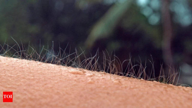 Tại sao chúng ta nổi da gà khi sợ hãi hoặc xúc động?- Ảnh 1. Tại sao chúng ta nổi da gà khi sợ hãi hoặc xúc động?- Ảnh 1.