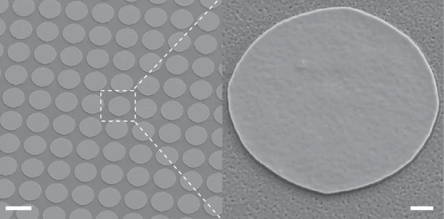 Chip não tiêm của MIT có thể điều trị bệnh mà không cần phẫu thuật - Ảnh 1.