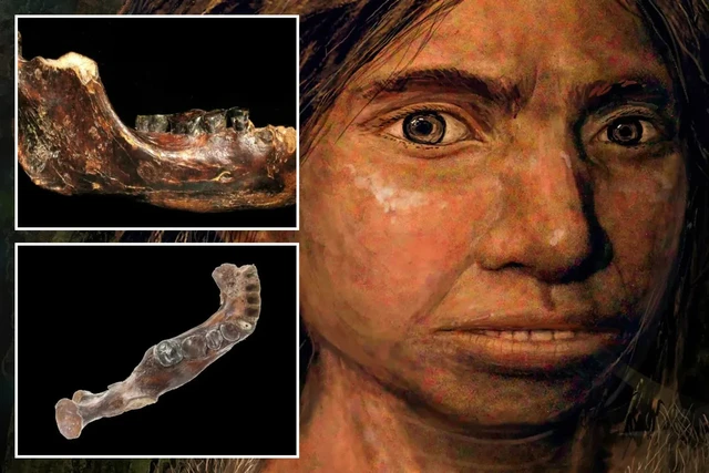 Bí ẩn 15 năm được giải mã chỉ sau một đêm? Cú đột phá từ cao răng giải mã bí ẩn 146.000 năm! - Ảnh 3.