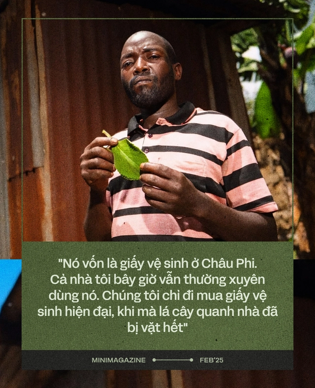 Người Mỹ dùng 4,3 tỷ km giấy vệ sinh mỗi năm, gấp 30 lần khoảng cách từ Trái Đất tới Mặt Trời: Và giờ, họ đang học người Châu Phi, quay lại dùng lá cây- Ảnh 1. Người Mỹ dùng 4,3 tỷ km giấy vệ sinh mỗi năm, gấp 30 lần khoảng cách từ Trái Đất tới Mặt Trời: Và giờ, họ đang học người Châu Phi, quay lại dùng lá cây- Ảnh 1.