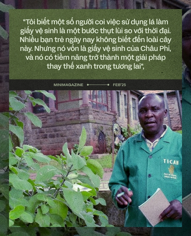 Người Mỹ dùng 4,3 tỷ km giấy vệ sinh mỗi năm, gấp 30 lần khoảng cách từ Trái Đất tới Mặt Trời: Và giờ, họ đang học người Châu Phi, quay lại dùng lá cây- Ảnh 13. Người Mỹ dùng 4,3 tỷ km giấy vệ sinh mỗi năm, gấp 30 lần khoảng cách từ Trái Đất tới Mặt Trời: Và giờ, họ đang học người Châu Phi, quay lại dùng lá cây- Ảnh 13.