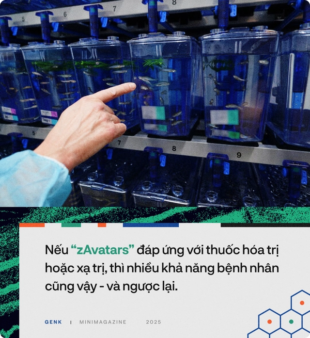 90% bệnh nh&acirc;n ung thư sẽ được điều trị tốt hơn, nếu c&aacute;c b&aacute;c sĩ hỏi &yacute; kiến những ch&uacute; c&aacute; trong "thủy cung lượng tử"- Ảnh 2.