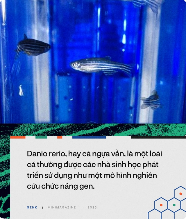 90% bệnh nh&acirc;n ung thư sẽ được điều trị tốt hơn, nếu c&aacute;c b&aacute;c sĩ hỏi &yacute; kiến những ch&uacute; c&aacute; trong "thủy cung lượng tử"- Ảnh 14.