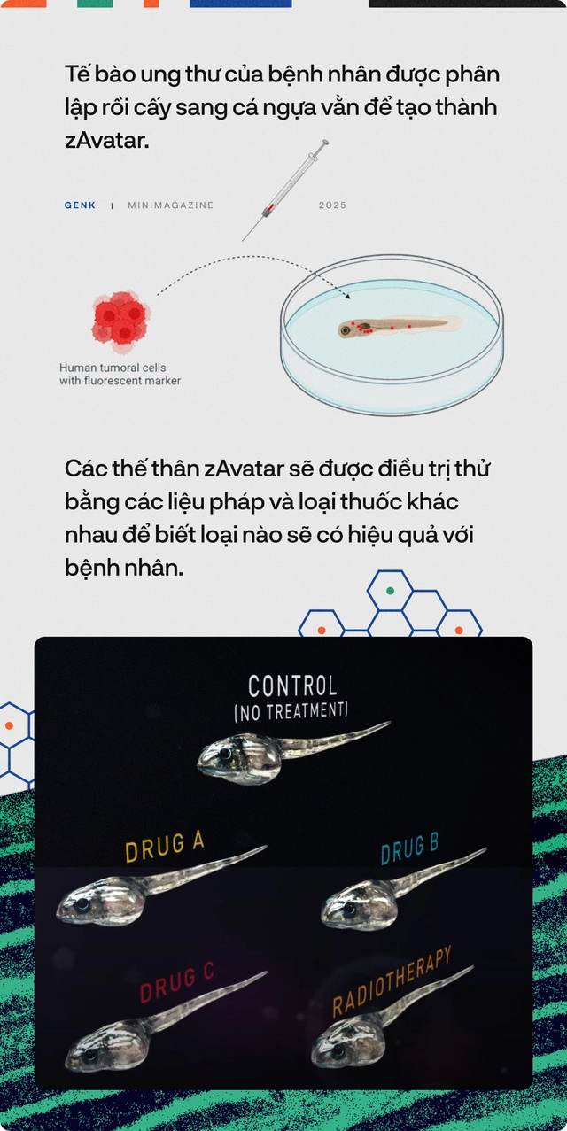 90% bệnh nh&acirc;n ung thư sẽ được điều trị tốt hơn, nếu c&aacute;c b&aacute;c sĩ hỏi &yacute; kiến những ch&uacute; c&aacute; trong "thủy cung lượng tử"- Ảnh 15.