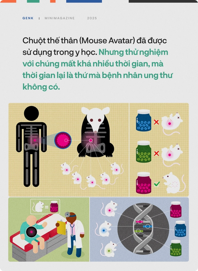 90% bệnh nh&acirc;n ung thư sẽ được điều trị tốt hơn, nếu c&aacute;c b&aacute;c sĩ hỏi &yacute; kiến những ch&uacute; c&aacute; trong "thủy cung lượng tử"- Ảnh 16.