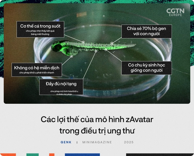 90% bệnh nh&acirc;n ung thư sẽ được điều trị tốt hơn, nếu c&aacute;c b&aacute;c sĩ hỏi &yacute; kiến những ch&uacute; c&aacute; trong "thủy cung lượng tử"- Ảnh 18.