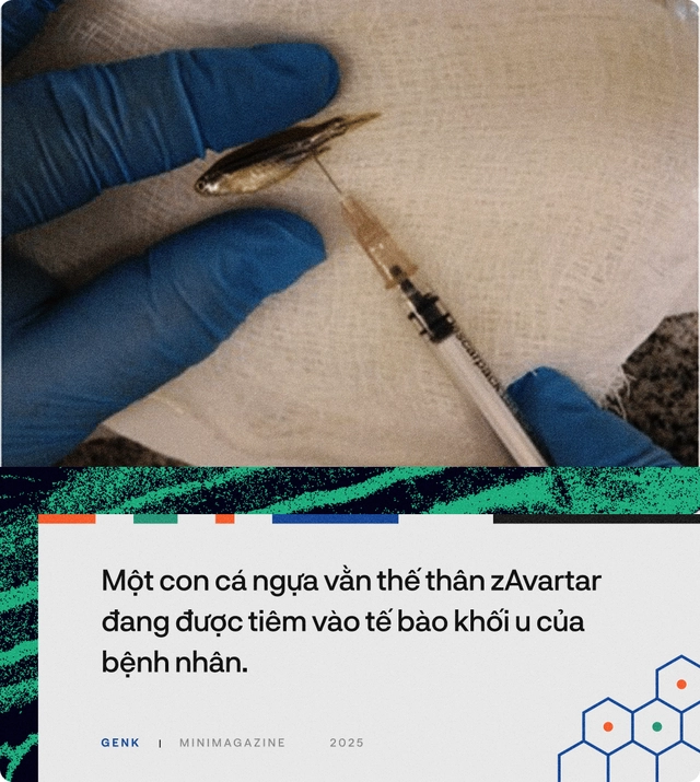 90% bệnh nh&acirc;n ung thư sẽ được điều trị tốt hơn, nếu c&aacute;c b&aacute;c sĩ hỏi &yacute; kiến những ch&uacute; c&aacute; trong "thủy cung lượng tử"- Ảnh 20.