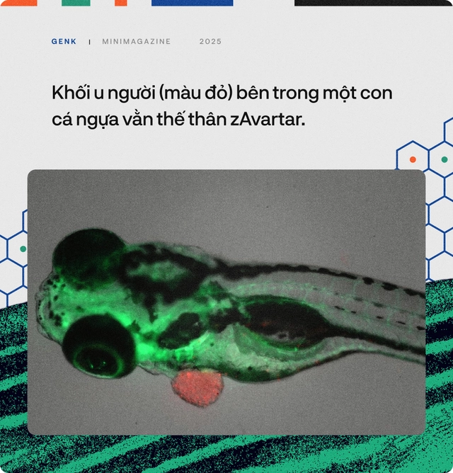 90% bệnh nh&acirc;n ung thư sẽ được điều trị tốt hơn, nếu c&aacute;c b&aacute;c sĩ hỏi &yacute; kiến những ch&uacute; c&aacute; trong "thủy cung lượng tử"- Ảnh 21.