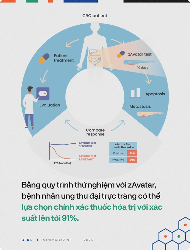 90% bệnh nh&acirc;n ung thư sẽ được điều trị tốt hơn, nếu c&aacute;c b&aacute;c sĩ hỏi &yacute; kiến những ch&uacute; c&aacute; trong "thủy cung lượng tử"- Ảnh 22.