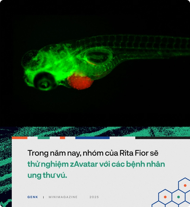 90% bệnh nh&acirc;n ung thư sẽ được điều trị tốt hơn, nếu c&aacute;c b&aacute;c sĩ hỏi &yacute; kiến những ch&uacute; c&aacute; trong "thủy cung lượng tử"- Ảnh 23.