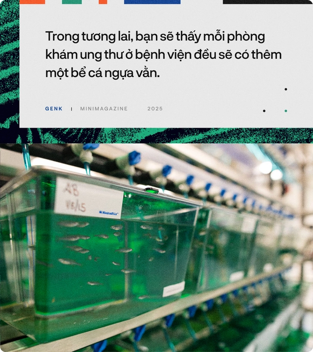 90% bệnh nh&acirc;n ung thư sẽ được điều trị tốt hơn, nếu c&aacute;c b&aacute;c sĩ hỏi &yacute; kiến những ch&uacute; c&aacute; trong "thủy cung lượng tử"- Ảnh 24.