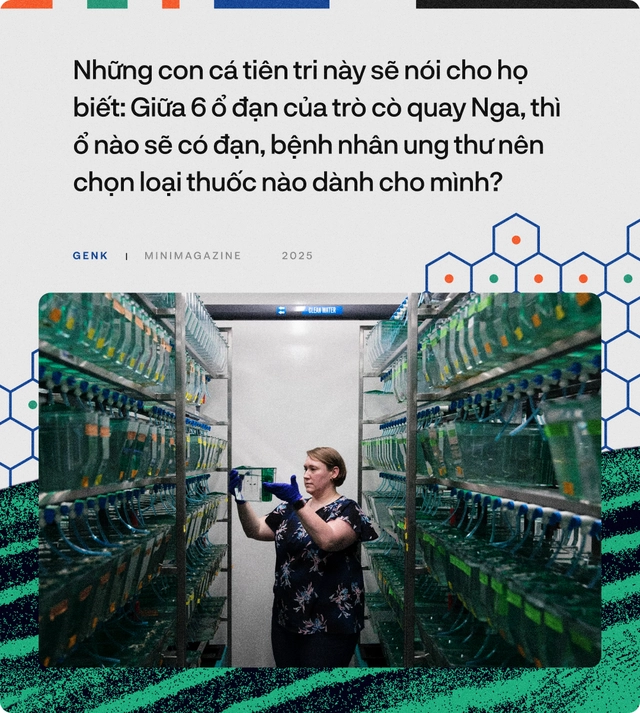 90% bệnh nh&acirc;n ung thư sẽ được điều trị tốt hơn, nếu c&aacute;c b&aacute;c sĩ hỏi &yacute; kiến những ch&uacute; c&aacute; trong "thủy cung lượng tử"- Ảnh 25.