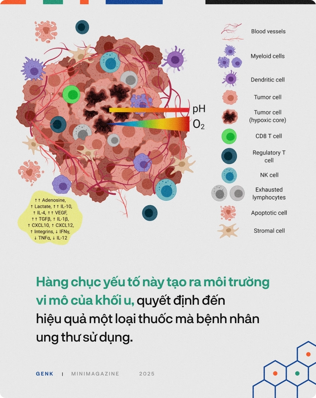 90% bệnh nh&acirc;n ung thư sẽ được điều trị tốt hơn, nếu c&aacute;c b&aacute;c sĩ hỏi &yacute; kiến những ch&uacute; c&aacute; trong "thủy cung lượng tử"- Ảnh 8.