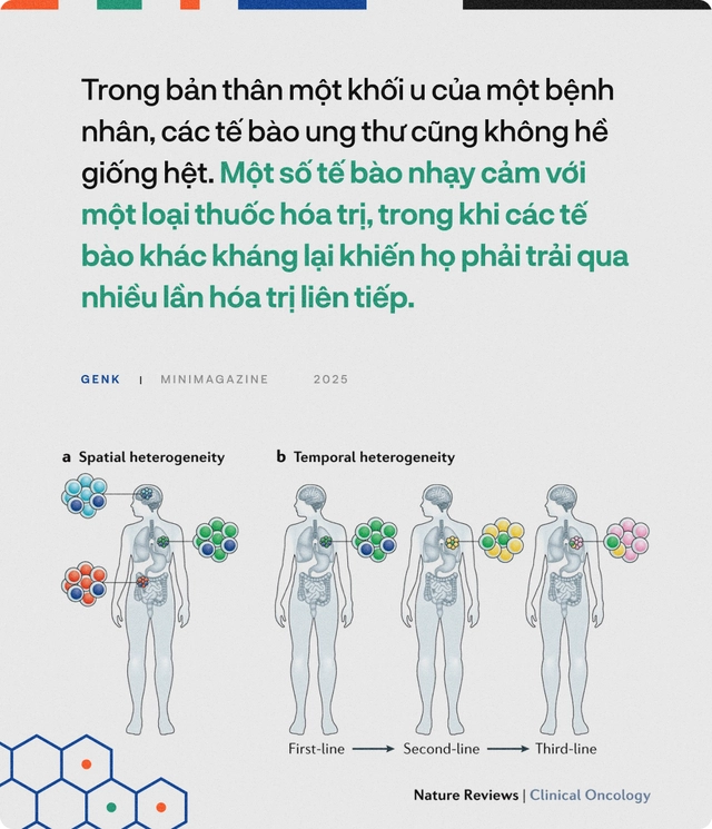 90% bệnh nh&acirc;n ung thư sẽ được điều trị tốt hơn, nếu c&aacute;c b&aacute;c sĩ hỏi &yacute; kiến những ch&uacute; c&aacute; trong "thủy cung lượng tử"- Ảnh 9.