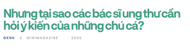 90% bệnh nh&acirc;n ung thư sẽ được điều trị tốt hơn, nếu c&aacute;c b&aacute;c sĩ hỏi &yacute; kiến những ch&uacute; c&aacute; trong "thủy cung lượng tử"- Ảnh 4.