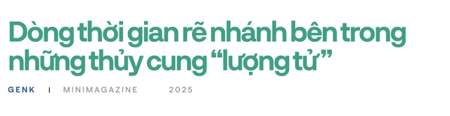 90% bệnh nh&acirc;n ung thư sẽ được điều trị tốt hơn, nếu c&aacute;c b&aacute;c sĩ hỏi &yacute; kiến những ch&uacute; c&aacute; trong "thủy cung lượng tử"- Ảnh 19.