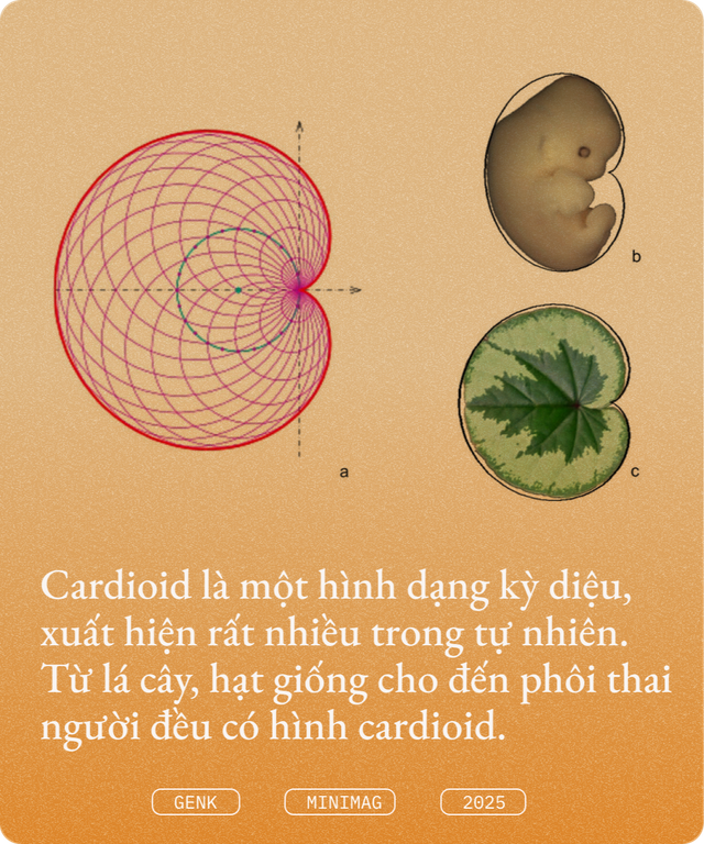 500 năm diệu kỳ của vật lý và toán học, hội tụ trong một tách cà phê hình 500 năm diệu kỳ của vật lý và toán học, hội tụ trong một tách cà phê hình