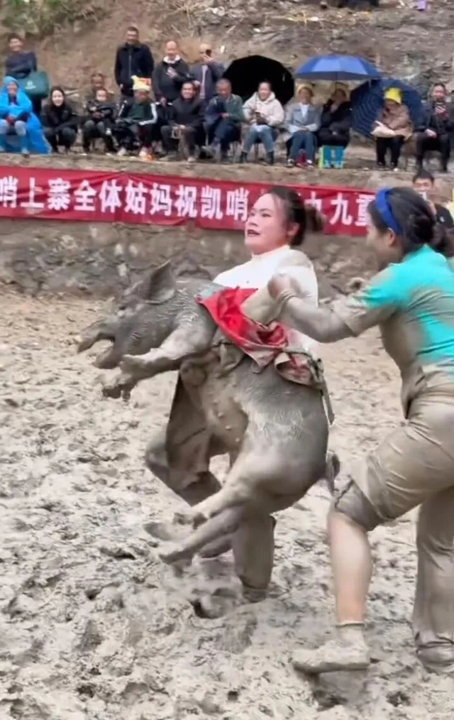 Người phụ nữ Trung Quốc gây sốt khi tay không thắng 22 cuộc thi bắt lợn chỉ trong một năm - Ảnh 2.