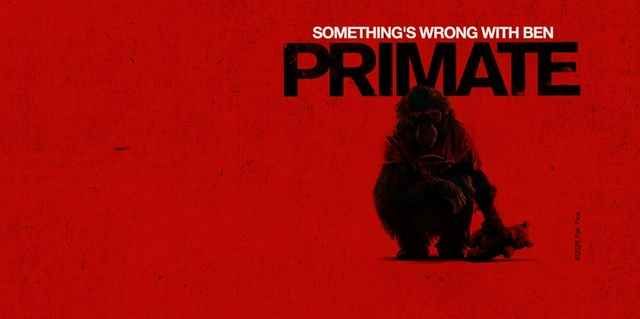 "Primate" 2026: Cơn ác mộng đẫm máu từ thú cưng hóa quái vật khơi dậy niềm vui nguyên thủy của dòng phim kinh dị - Ảnh 2.