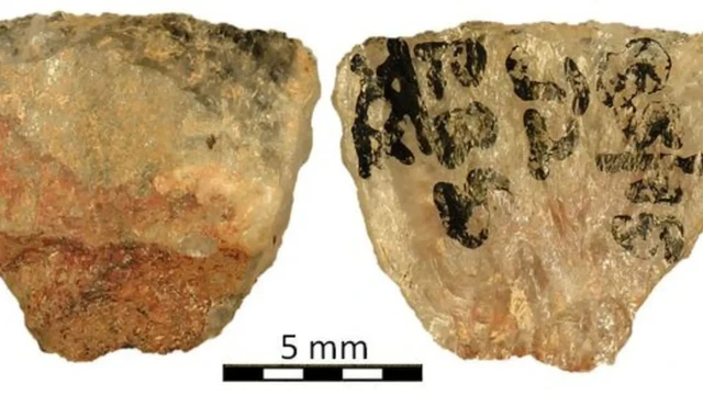 Mũi t&ecirc;n tẩm độc 60.000 năm tuổi h&eacute; lộ tr&iacute; tuệ săn bắn vượt trội của con người thời tiền sử - Ảnh 1.