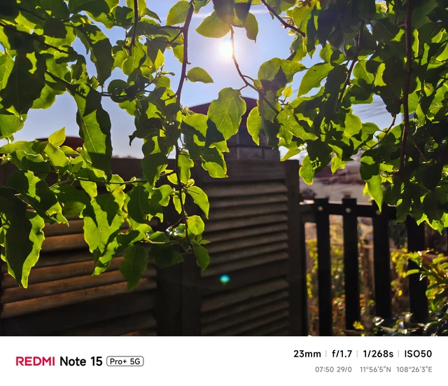 Hoa mai anh đào, mây, sương mù và REDMI Note 15 Pro - Ảnh 35.